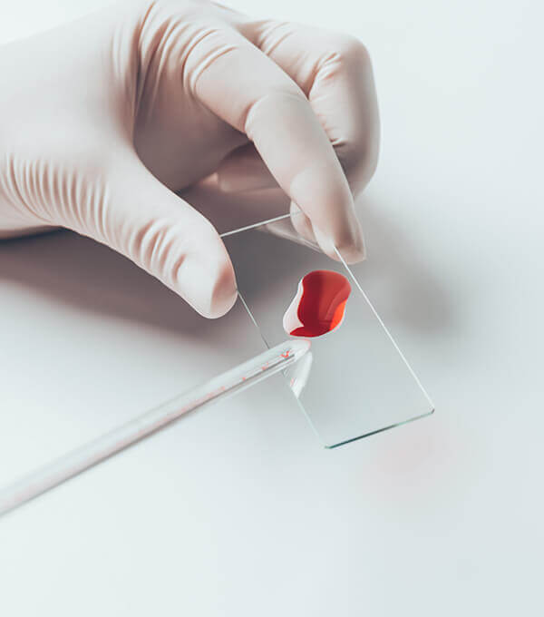 Bột màu công nghiệp